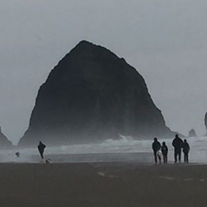 Meet your Posher, Karrie